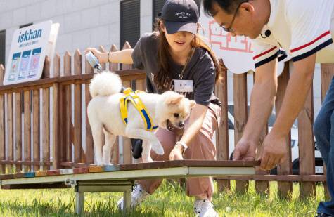 반려동물과 함께 음식점을 동반 출입할 수 있도록 식품위생법 시행규칙 개정안이 입법예고됐다. 사진=대전일보DB