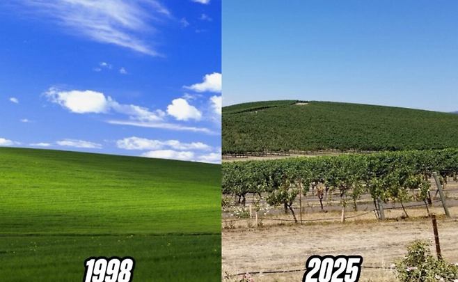 ⓒ데일리메일 갈무리