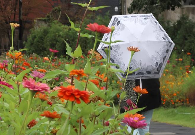지월 서울 종로구 열린송현녹지광장에서 한 시민이 우산을 쓰고 이동하고 있다. 연합뉴스 제공