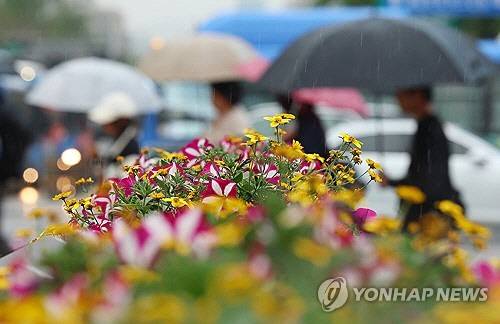 전국적으로 비가 내린 1일 서울 종로구 세종로사거리에 심어진 화단 뒤로 우산을 쓴 시민이 길을 지나고 있다. [연합뉴스]