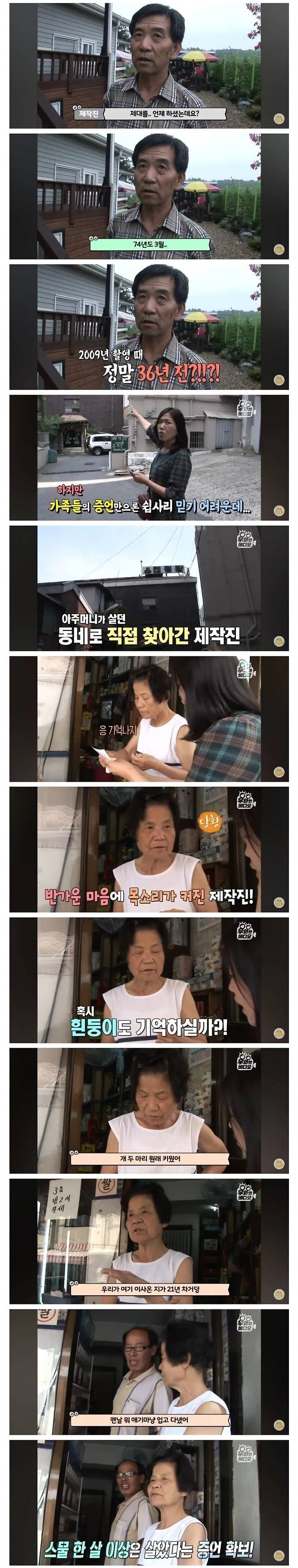 36년 장수한 강아지