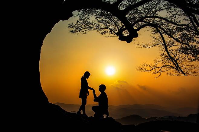 부여 가림성 사랑나무의 해넘이. 부여군 제공