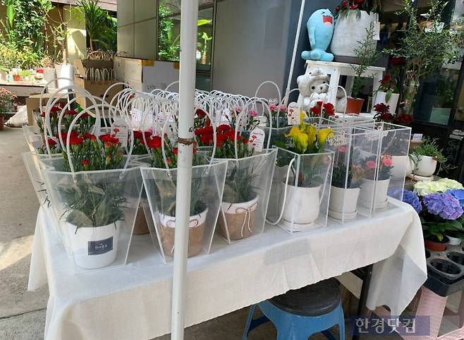 서대문구 근처 꽃집, 카네이션을 진열해 놨지만 하나도 팔리지 않은 모습/사진=유지희 기자