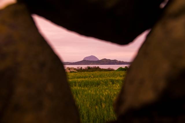 제주도 서귀포시 가파도 돌담 사이로 보이는 청보리밭.