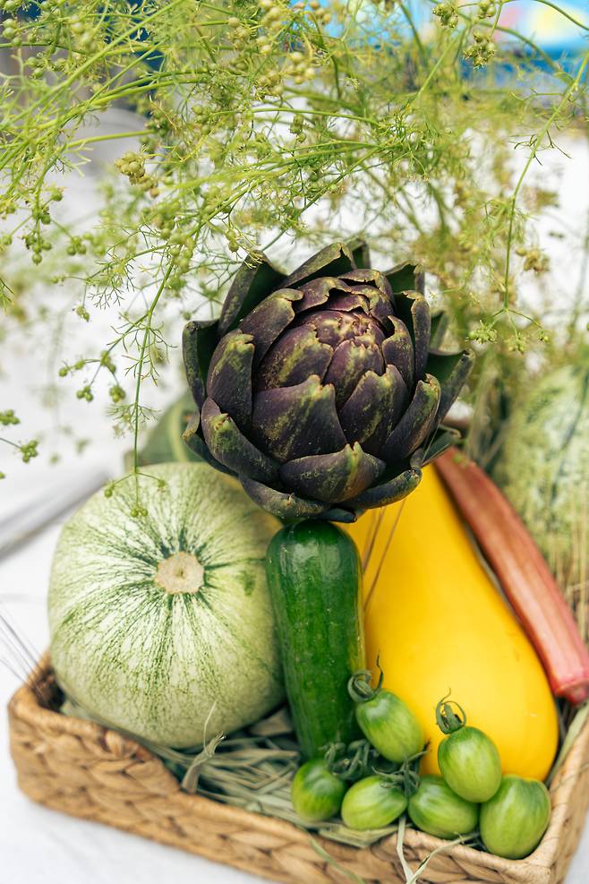 성시우 셰프가 요리에 사용하는 다양한 채소들. 레귬 제공