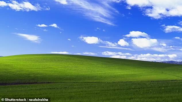 윈도우XP 배경화면 [출처 = 데일리메일]