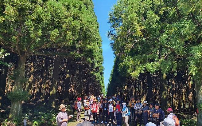 제주 한라산둘레길 시험림길 탐방 모습. 사단법인 한라산둘레길 제공