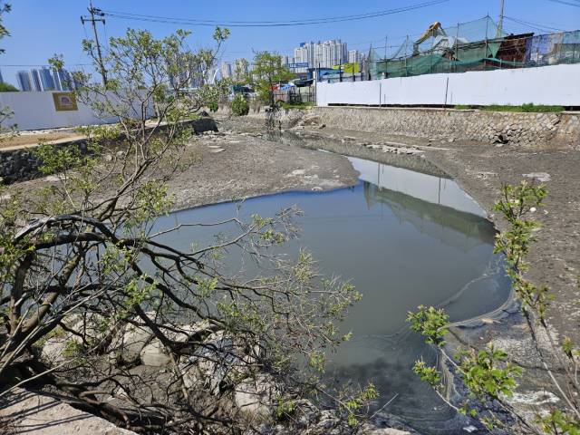 인천시 연수구 동춘동 송도유원지 중고차 수출단지 내 웅덩이에 검은 기름띠가 형성돼 있다. 인천=안재균 기자