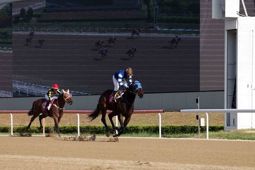 판타스틱밸류 우승 장면