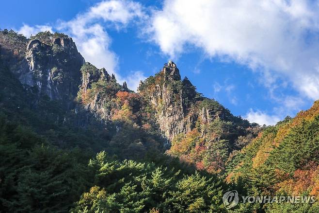 무릉계곡 베틀바위 [연합뉴스 자료사진]