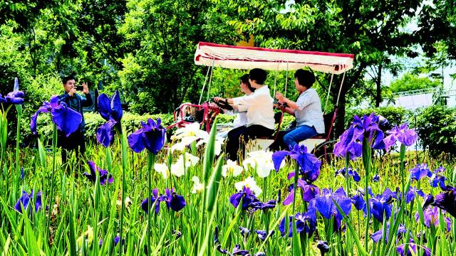 창포원 내 자전거 타고 꽃구경.