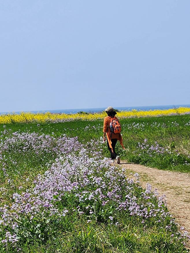 제주올레 10-1코스, 서명숙 이사장 / 사진=서명숙