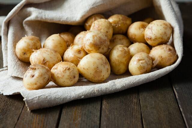 감자는 살 찌우는 탄수화물 덩어리가 아니라 체중과 혈당을 동시에 잡을 수 있는 식품이다. 특히 에너지 밀도가 낮아 기존 음식의 일부를 감자로 바꾸면 칼로리 섭취를 의식하지 않고 만족할 만큼 먹을 수 있어 지속 가능성이 높다. [사진=게티이미지뱅크]