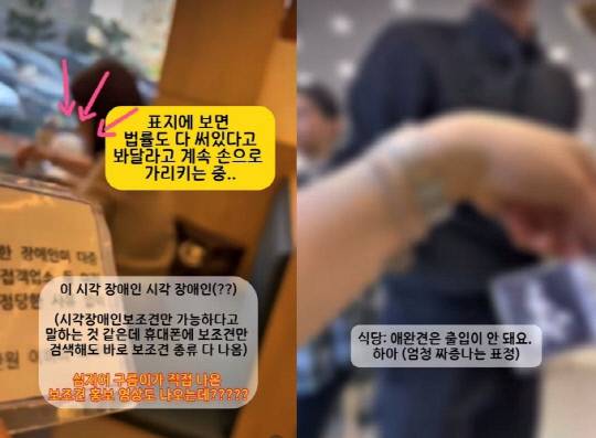 청각장애인 보조견 출입 거부한 식당. A 씨 측 영상 갈무리