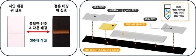 배경에 따른 신호세기 비교(왼쪽), 검은 배경 기반의 신속항원진단 키트 구조(오른쪽).
