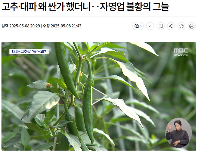 image.png 최근 고추, 대파 가격이 저렴해진 이유ㅎㄷㄷㄷㄷ