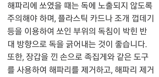 image.png 해파리독 응급 처치