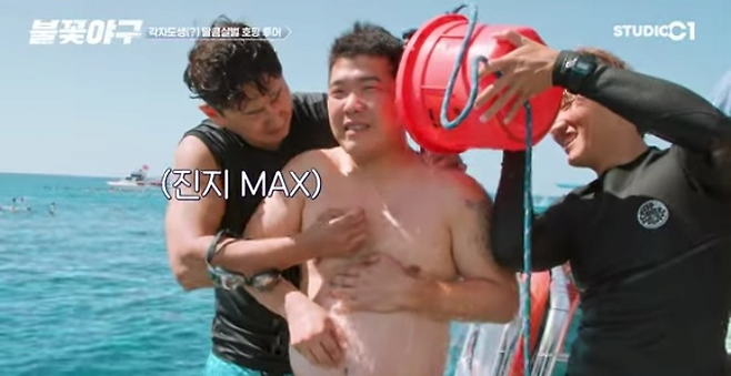 image.png 해파리독 응급 처치