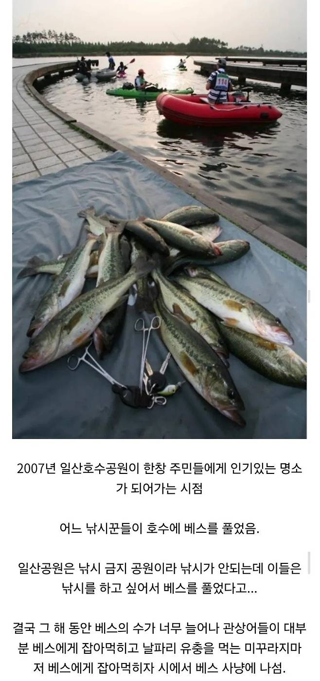 17467717002884.webp.ren.jpg 낚시꾼들이 일산호수공원에 벌인 미친짓