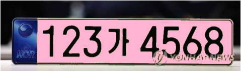 핑크 번호판 예시