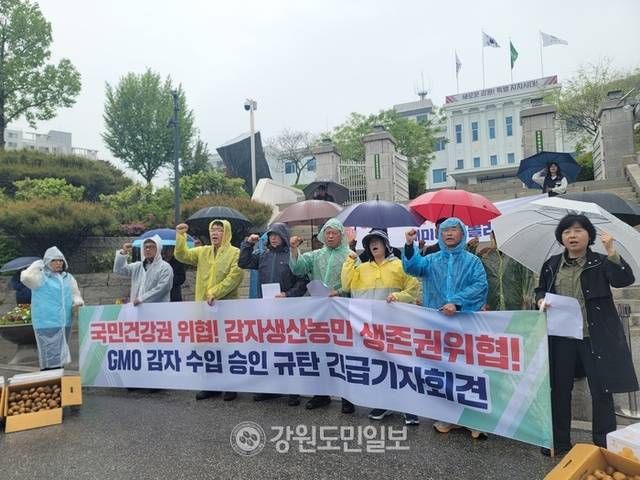 ▲ 강원지역 농민·시민단체가 9일 강원도청 앞에서 GMO감자 수입을 규탄하는 긴급 기자회견을 열었다. 이설화