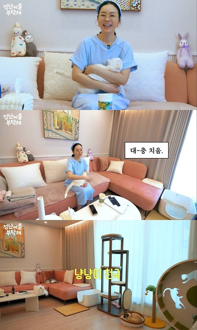 ‘김정난’ 영상 캡처