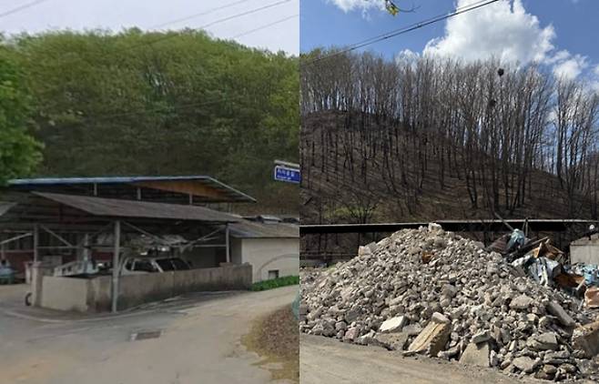 산불로 피해를 입은 경북 안동시 남선면 도로리. 왼쪽은 2023년, 오른쪽은 피해 후 사진. 카카오맵 캡처·이우섭 기자