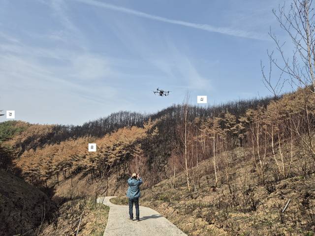 청송군산림조합이 산불피해 산림 복원을 위해 드론을 이용해 도라지 종자 파종을 실시하고 있다. 청송군산림조합 제공