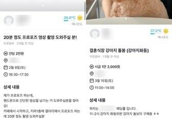 당근알바 게시물