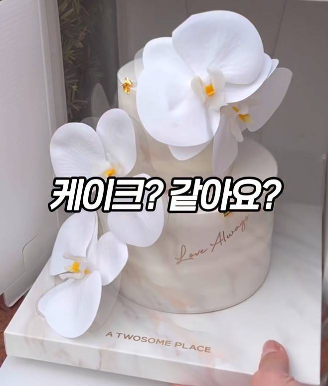 IMG_1052.jpeg 예전같지 않은 투썸플레이스 케이크.jpg