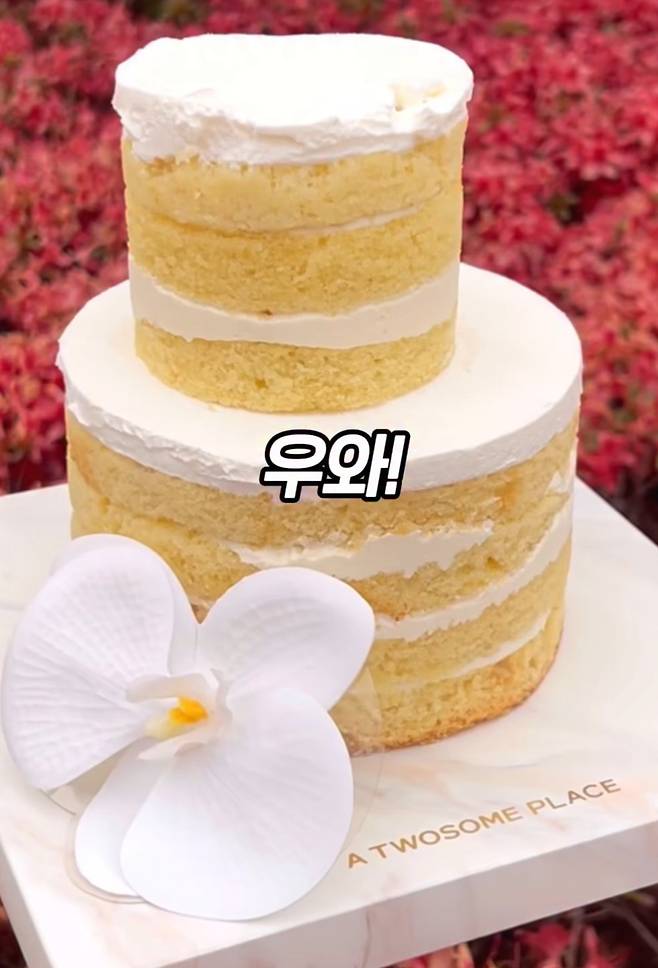 IMG_1051.jpeg 예전같지 않은 투썸플레이스 케이크.jpg