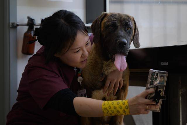 지난 4월 30일 충북 청주시 이음동물의료센터에서 이인선 테크니션이 대범과 함께 셀피를 촬영하고 있다. 청주=하상윤 기자