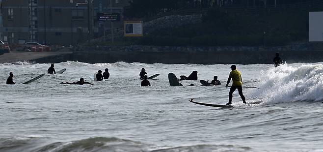 부산 해운대구 송정해수욕장에서 서퍼들이 파도를 가르며 서핑을 즐기고 있다. [부산=임세준 기자]