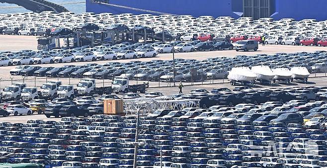 [평택=뉴시스] 김종택 기자 = 29일 경기 평택항 자동차 전용부두에 선적을 기다리는 수출용 차량이 세워져 있다. 2025.04.29. jtk@newsis.com