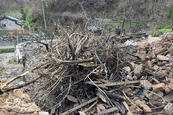 산불로 큰 피해를 본 안동시 남선면 도로리. 이우섭 기자
