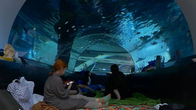 2025 뮤지엄나잇 오션필름 위크 [해양박물관 제공]