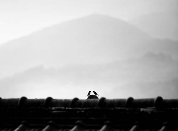 강화도 창후항 입구