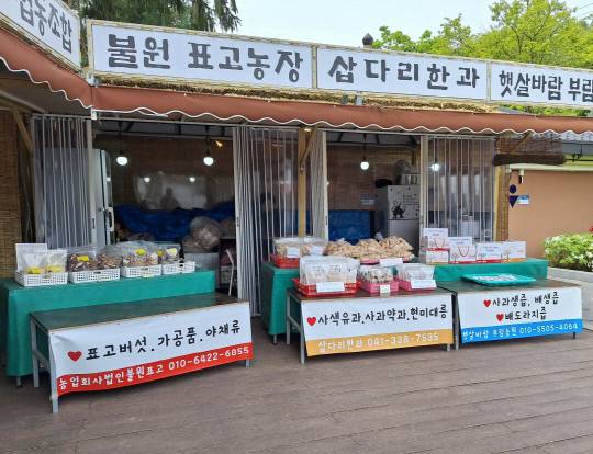 예당호 출렁다리에 설치된 직거래장터 모습.사진=예산군 제공