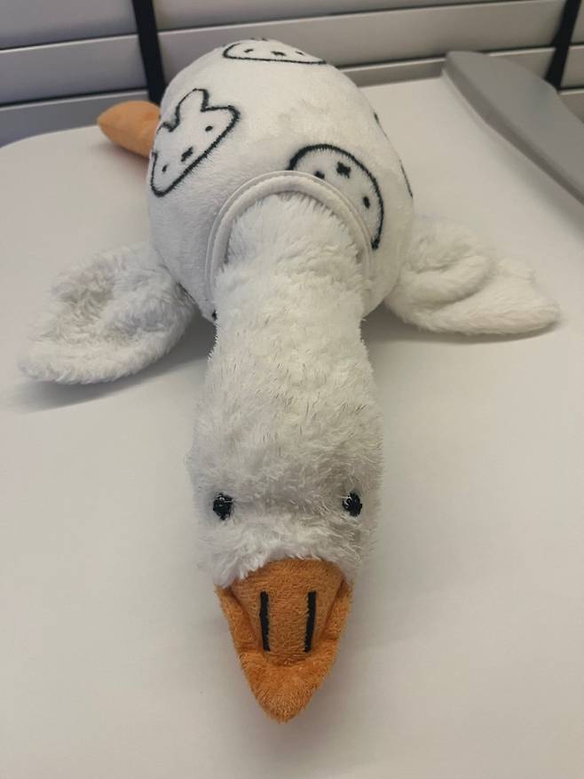 IMG_2345.jpeg 강아지 애착인형 수술 끝냈다