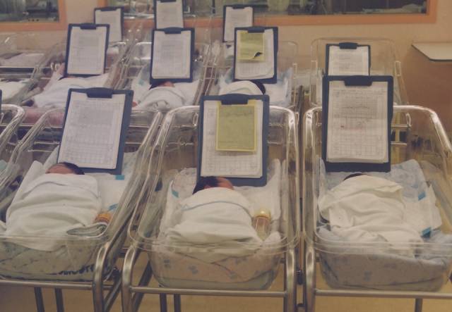 ▲ 강원도민일보 자료 사진