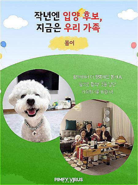 /사진=핌피바이러스, 인스타그램(@pimfyvirus)