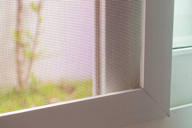 사진은 기사와 직접 관련이 없음. 게티이미지뱅크