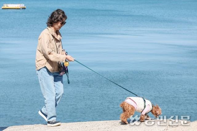 바다를 보며 솔향기길을 산책하는 반려견과 보호자. 태안=이종수 기자 leejongsoo@nongmin.com