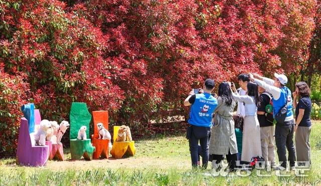 포토존이 나타나면 보호자들은 반려견을 한데 모아두고 사진을 남기기 바쁘다.