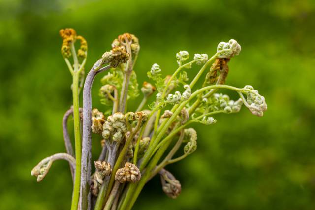 사진은 기사 내용과 무관함. 이미지투데이