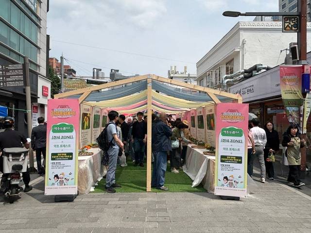 여기가 바로 약초 포레스트. 약초숲? 이곳에서 14종의 한방 약재를 오감으로 느낄 수 있다. 한방의 숲에 참여객들이 꽉 들어차 있다. 백성애 인턴