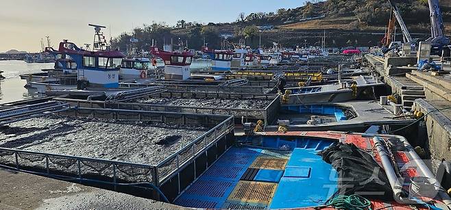 전남 고흥군 도화면 발포위판장.(고흥군 제공. 재판매 및 DB 금지)