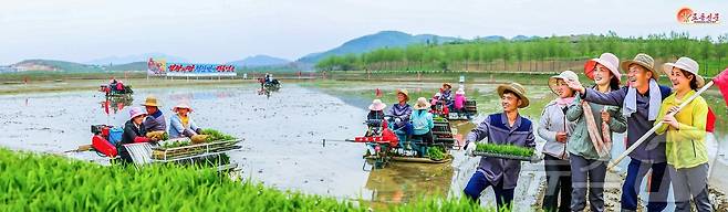 (평양 노동신문=뉴스1) = 북한 노동당 기관지 노동신문은 12일 강서구역 청산농장에서 올해 모내기가 시작됐다고 보도했다. 농장 일꾼들과 농장원들은 모내기를 최적기에 질적으로 끝내기 위한 준비를 갖춰왔다고 신문은 전했다. [국내에서만 사용가능. 재배포 금지. DB 금지. For Use Only in the Republic of Korea. Redistribution Prohibited] rodongphoto@news1.kr