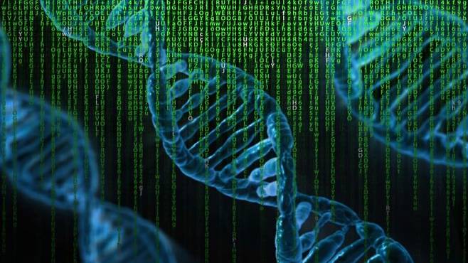 합성생물학(Synthetic Biology)은 생명체의 모든 정보가 담긴 DNA를 표준화된 바이오 부품처럼 활용해 논리 회로를 설계하고 합성함으로써 자연계에 없는 생물학적 기능을 구현하거나 기존 생명체를 재설계하는 기술이다. 픽사베이 제공
