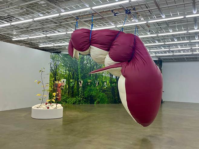 아트선재센터에 전시된 ‘부력 선’은 바다에 떠 있을 고래가 허공에 매달린 작품이다. 푸근한 인형 같지만 고래 등의 핏빛이 문명의 잔혹함을 상기시킨다./김민정 기자